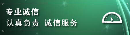 徐汇区建网站公司